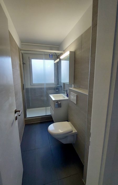 Rénovation d'un appartement à Fribourg