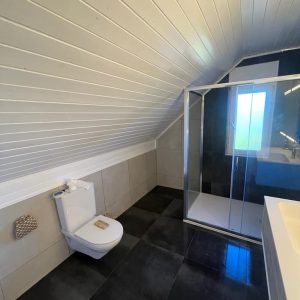 renovation-corminboeuf_bn_7