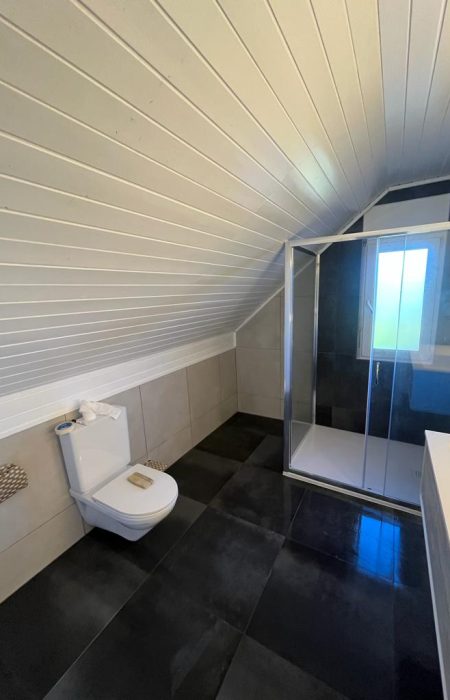 renovation-corminboeuf_bn_7